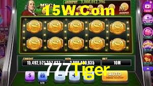 Security Systems 777Tiger